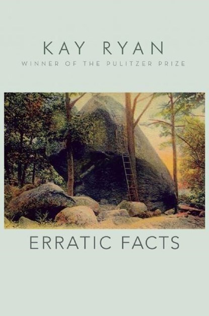 Erratic Facts, Kay Ryan - Paperback - 9780802125545