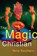 The Magic Christian, SOUTHERN,  Terry - Paperback - 9780802134653
