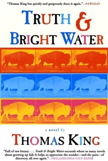 TRUTH & BRIGHT WATER, KING,  Thomas - Paperback - 9780802138408