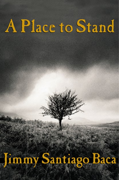 A Place to Stand, Jimmy Santiago Baca - Paperback - 9780802139085