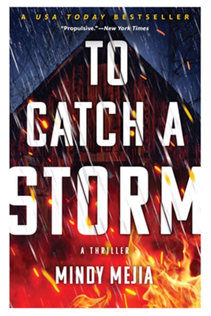 To Catch a Storm, Mindy Mejia - Gebonden - 9780802162007