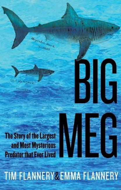 Big Meg: The Story of the Largest and Most Mysterious Predator That Ever Lived, Tim Flannery - Gebonden - 9780802162588