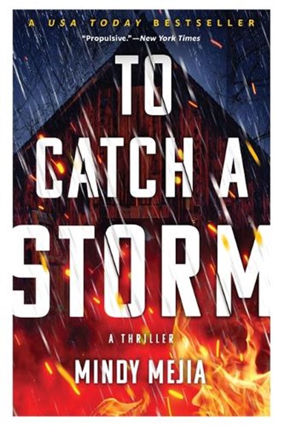 To Catch a Storm, Mindy Mejia - Paperback - 9780802163424