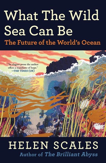 What the Wild Sea Can Be, Helen Scales - Paperback - 9780802165145