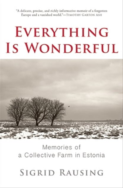 Everything Is Wonderful, Sigrid Rausing - Ebook - 9780802192813