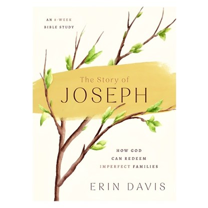 The Story of Joseph, Erin Davis - Paperback - 9780802434562
