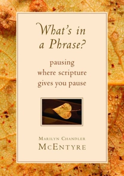 What's in a Phrase?, Marilyn Chandler McEntyre - Paperback - 9780802871145