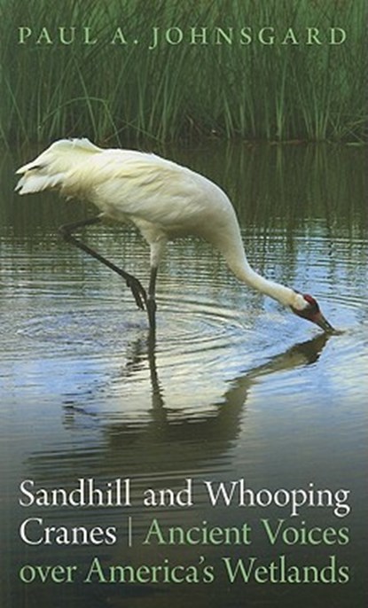 Sandhill and Whooping Cranes, Paul A. Johnsgard - Paperback - 9780803234963