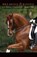 Breaking and Riding, James Fillis - Paperback - 9780803269156
