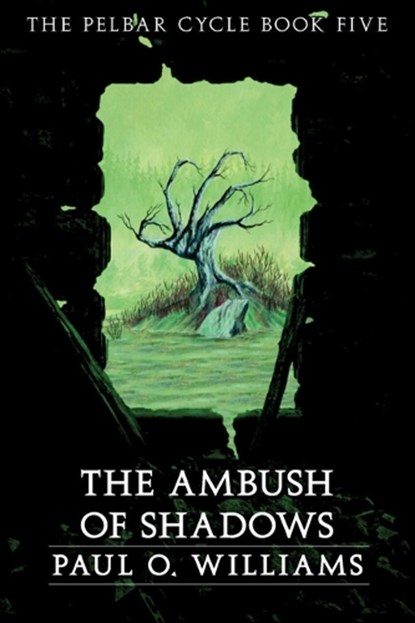 An Ambush of Shadows, Paul O. Williams - Paperback - 9780803298521