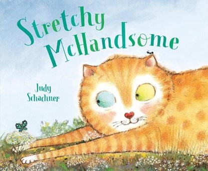 Stretchy McHandsome, Judy Schachner - Gebonden - 9780803741218