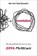 Essentialism, Greg McKeown - Gebonden - 9780804137386
