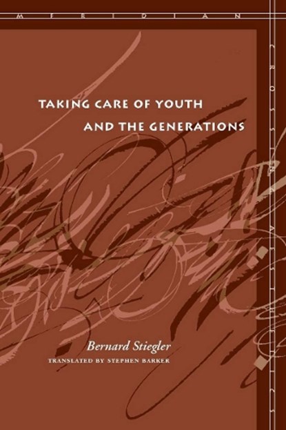 Taking Care of Youth and the Generations, Bernard Stiegler - Paperback - 9780804762731