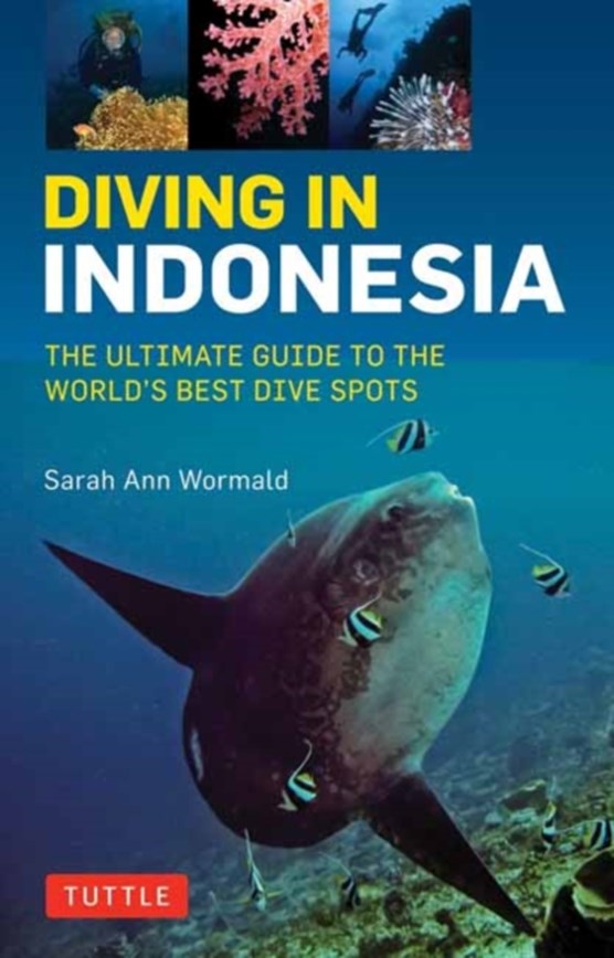Diving in indonesia