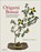 Origami Bonsai, COLEMAN,  Benjamin John - Gebonden - 9780804847872