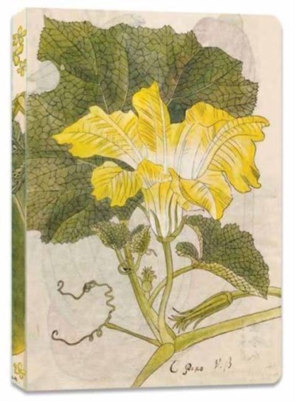Japanese Squash Blossom Lined Paperback Journal, Tuttle Studio - Paperback - 9780804855792