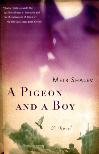 A Pigeon and a Boy, Meir Shalev - Paperback - 9780805212143