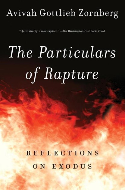 The Particulars of Rapture, Avivah Gottlieb Zornberg - Paperback - 9780805212372