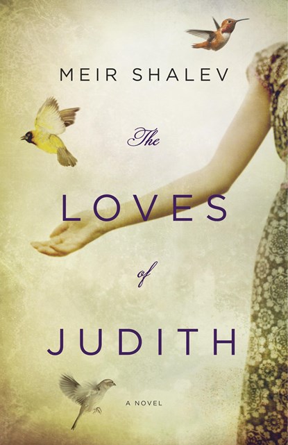 The Loves of Judith, Meir Shalev - Paperback - 9780805242867