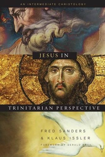 Jesus in Trinitarian Perspective, Fred Sanders ; Klaus Issler - Gebonden - 9780805444223