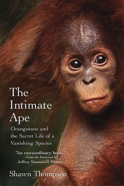 The Intimate Ape:, Shawn Thompson ; Jeffrey Moussaieff Masson - Ebook - 9780806533926