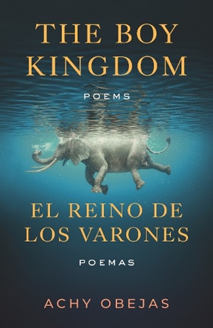 The Boy Kingdom / El reino de los varones, Achy Obejas - Paperback - 9780807017531