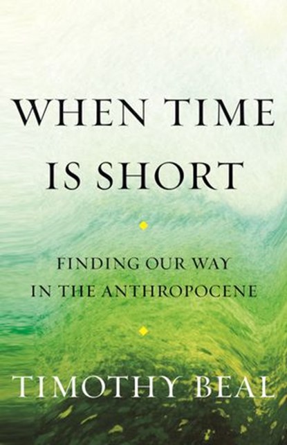 When Time Is Short, Timothy Beal - Ebook - 9780807090015