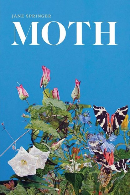 Moth, Jane Springer - Paperback - 9780807167922
