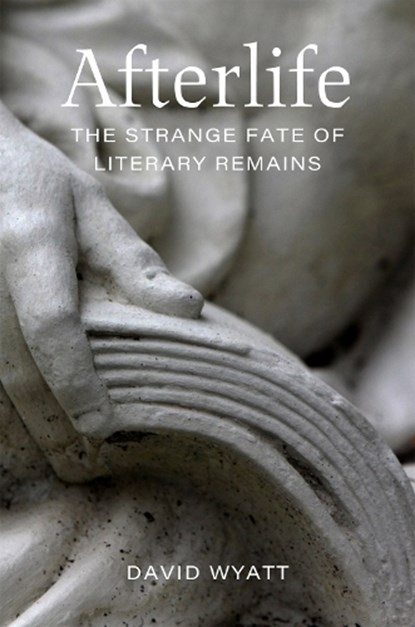 Afterlife, David Wyatt - Gebonden - 9780807183946