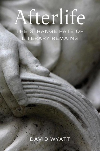Afterlife, David Wyatt - Paperback - 9780807184035