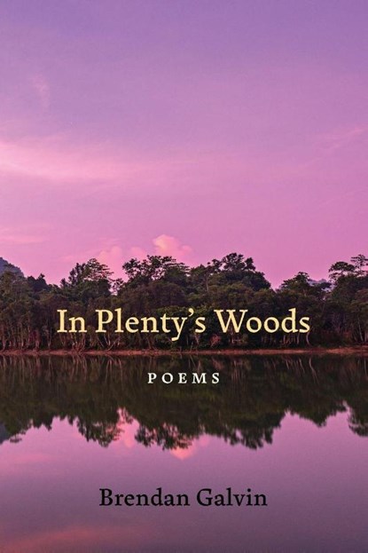 In Plenty's Woods, Brendan Galvin - Paperback - 9780807184769