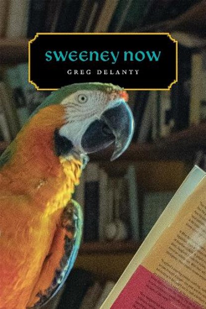Sweeney Now, Greg Delanty - Paperback - 9780807187357
