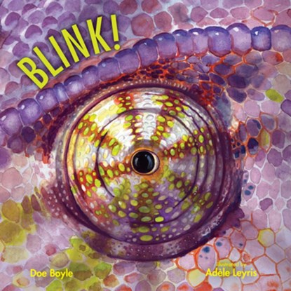 BLINK, DOE BOYLE - Gebonden - 9780807506677