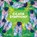 Cicada Symphony, Sue Fliess - Gebonden - 9780807511619