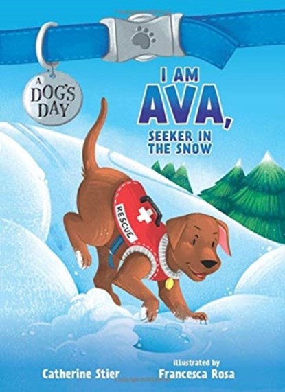 I AM AVA SEEKER IN THE SNOW, CATHERINE STIER - Gebonden - 9780807516645
