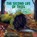 SECOND LIFE OF TREES, AIMEE M. BISSONETTE - Gebonden - 9780807572818