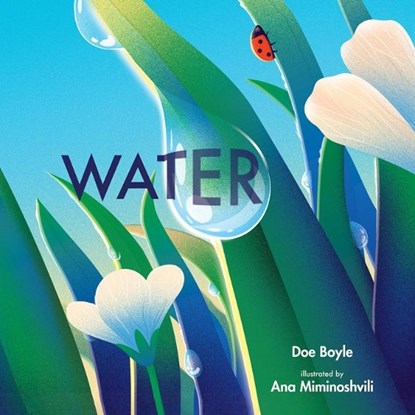 Water, Doe Boyle - Gebonden - 9780807586693
