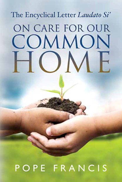 On Care for Our Common Home: The Encyclical Letter Laudato Si', Pope Francis - Paperback - 9780809149803