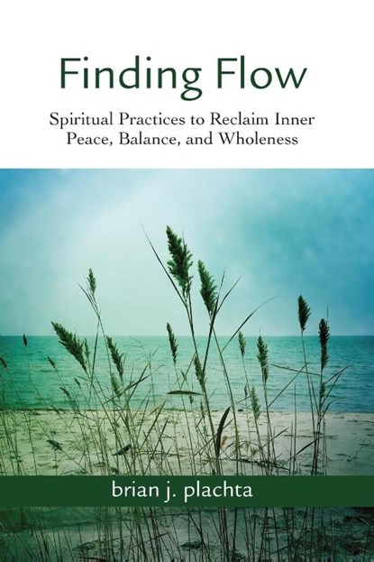 Finding Flow, Brian Plachta - Paperback - 9780809155576