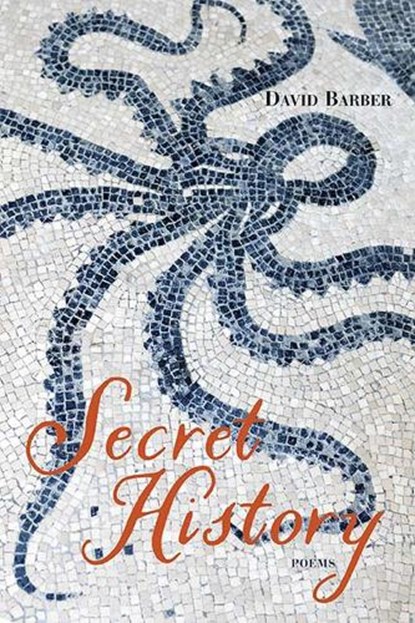 Secret History, David Barber - Paperback - 9780810141223