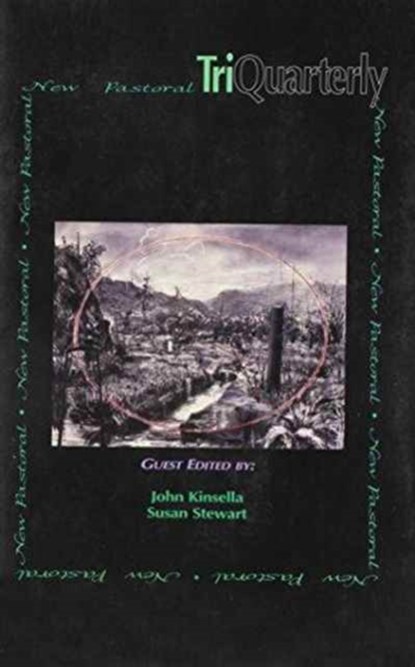 TriQuarterly: Issue 116, Susan Firestone Hahn - Paperback - 9780810159136