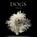 Dogs, Lewis Blackwell - Gebonden - 9780810996533