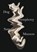 Dog Symphony, Sam Munson - Paperback - 9780811227681