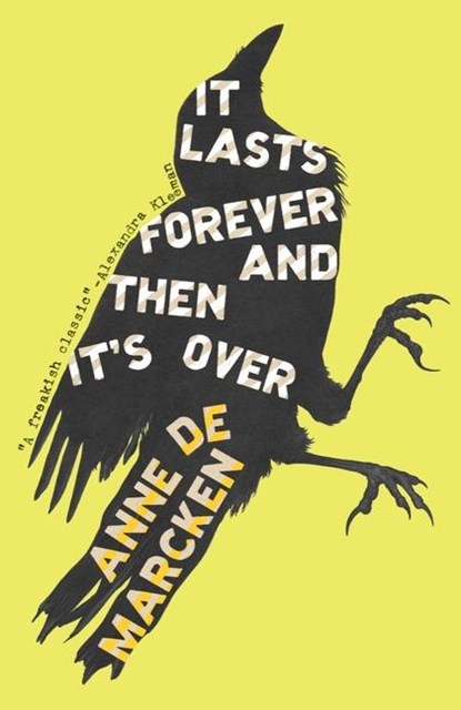 It Lasts Forever and Then It's over, Anne De Marcken - Paperback - 9780811237857