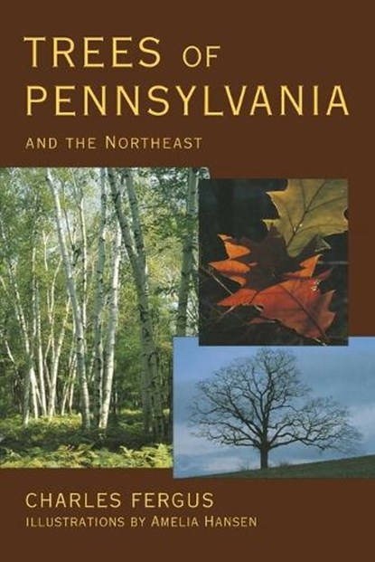 Trees of Pennsylvania and the Northeast, Charles Fergus - Paperback - 9780811720922