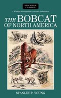 The Bobcat of North America | Stanley P Young | 