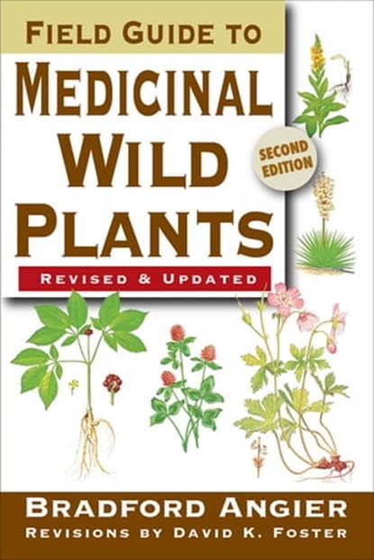 Field Guide to Medicinal Wild Plants, Bradford Angier ; David K Foster - Ebook - 9780811742801