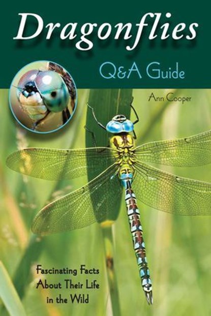 Dragonflies: Q&A Guide, Ann Cooper - Ebook - 9780811760287