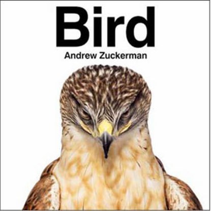 Bird, ZUCKERMAN,  Andrew - Gebonden - 9780811870986