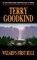Wizard's First Rule, Terry Goodkind - Paperback Pocket - 9780812548051